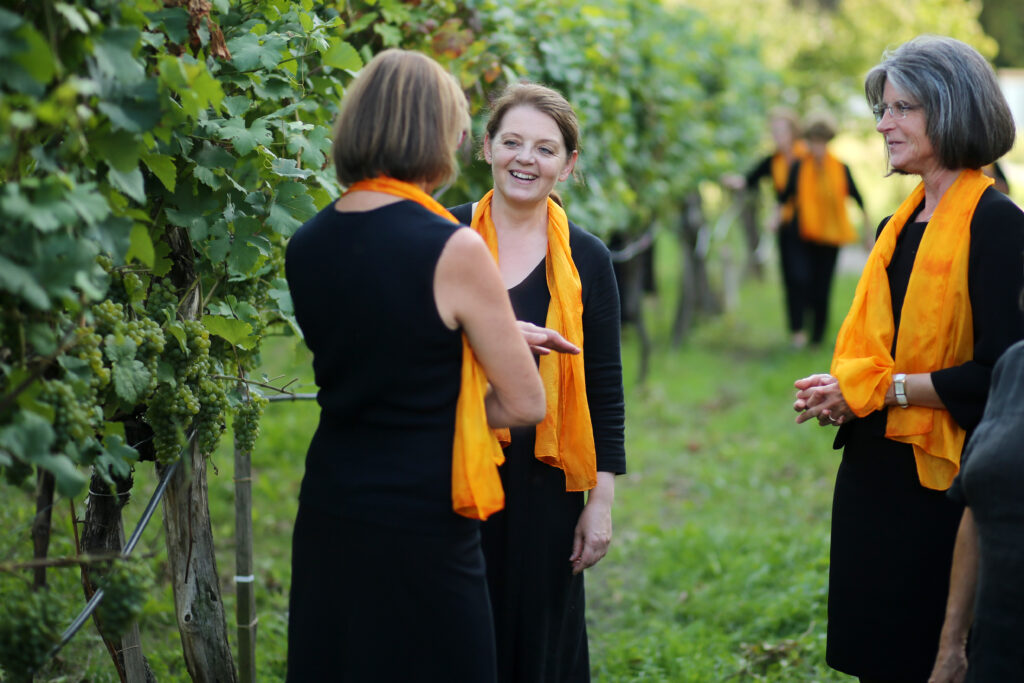 Motettenchor-Herzogenburg